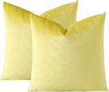 PAR COJINES FELPA 45 X45