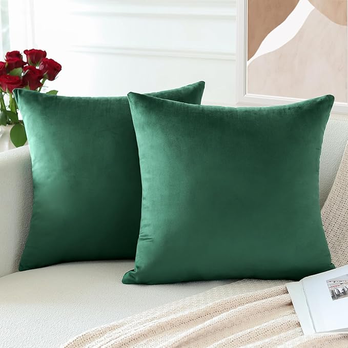 PAR COJINES FELPA 45 X45