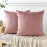 PAR COJINES FELPA 45 X45