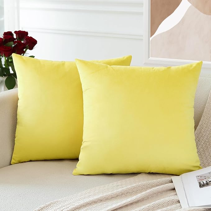 PAR COJINES FELPA 45 X45