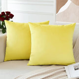 PAR COJINES FELPA 45 X45