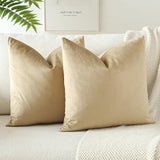 PAR COJINES FELPA 45 X45