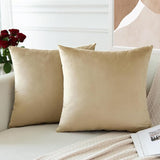 PAR COJINES FELPA 45 X45