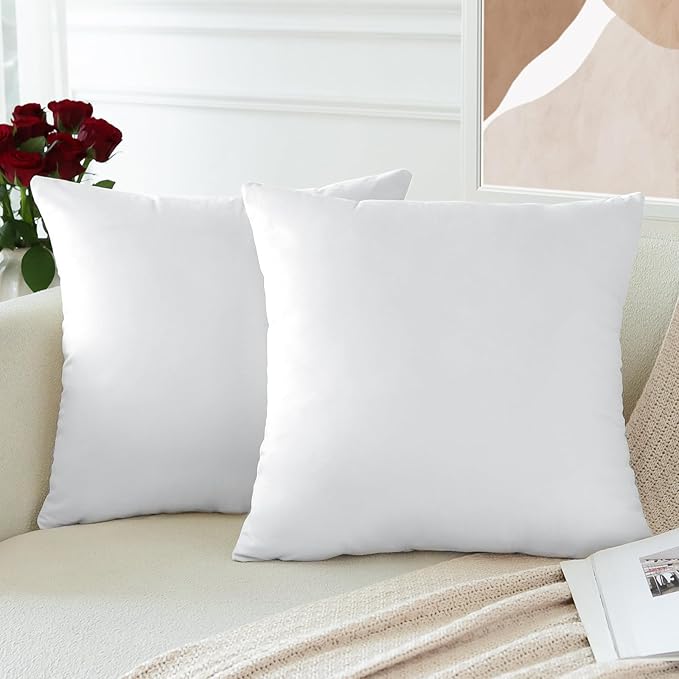 PAR COJINES FELPA 45 X45