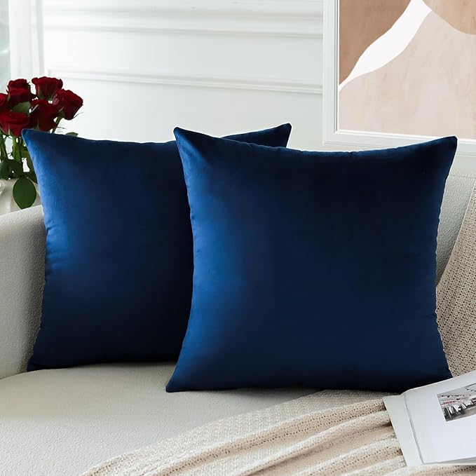 PAR COJINES FELPA 45 X45