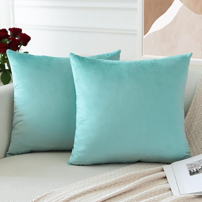 PAR COJINES FELPA 45 X45