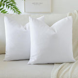 PAR COJINES FELPA 45 X45