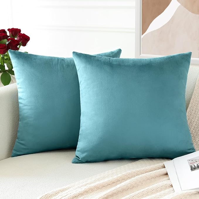 PAR COJINES FELPA 45 X45