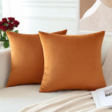 PAR COJINES FELPA 45 X45