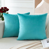 PAR COJINES FELPA 45 X45