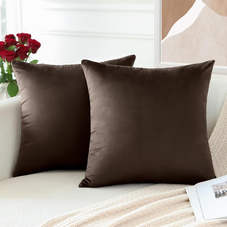 PAR COJINES FELPA 45 X45