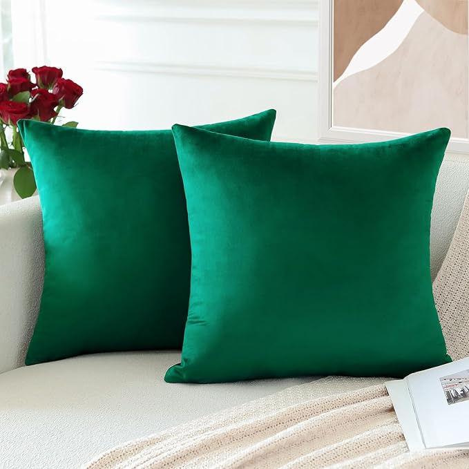 PAR COJINES FELPA 45 X45