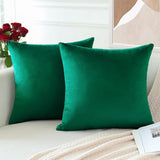 PAR COJINES FELPA 45 X45