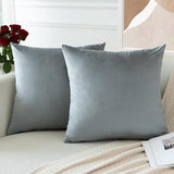 PAR COJINES FELPA 45 X45