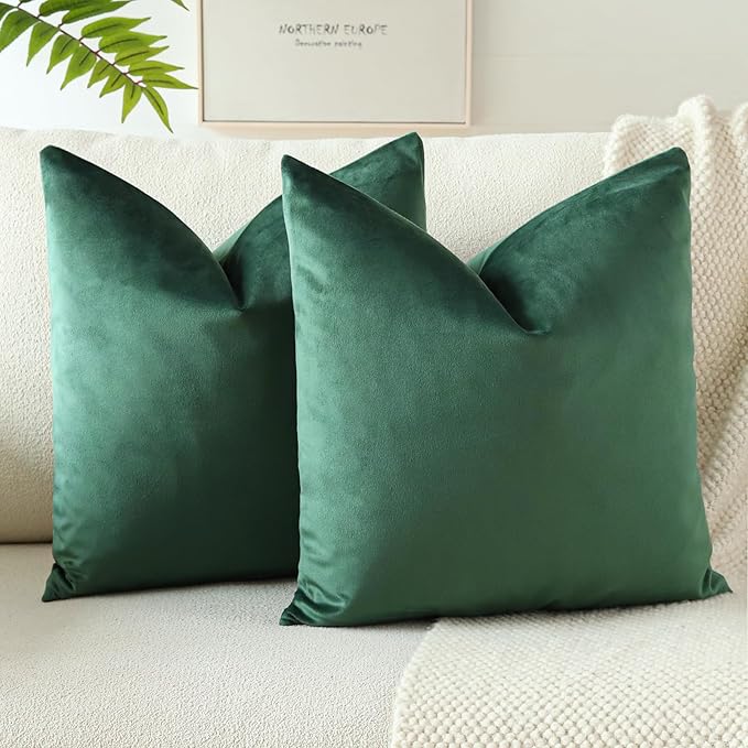 PAR COJINES FELPA 45 X45