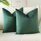 PAR COJINES FELPA 45 X45