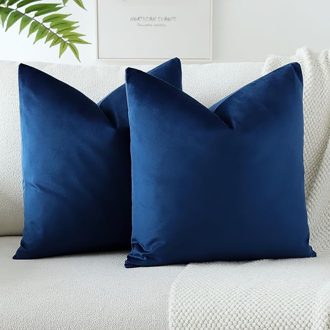 PAR COJINES FELPA 45 X45