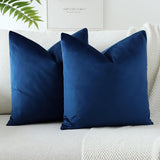 PAR COJINES FELPA 45 X45