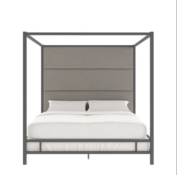 DOSEL MOYERS (BASE + RESPALDO)