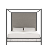 DOSEL MOYERS (BASE + RESPALDO)