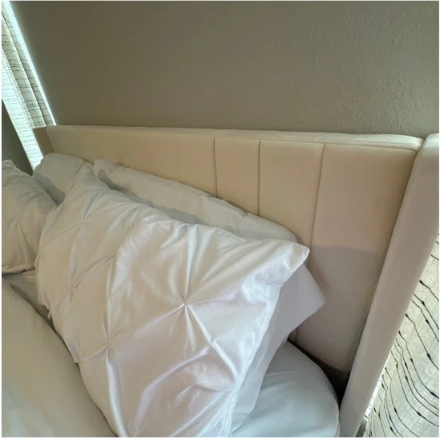 KENJI (BASE + RESPALDO)