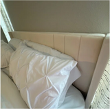 KENJI (BASE + RESPALDO)