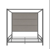 DOSEL MOYERS (BASE + RESPALDO)