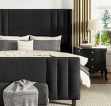 KENJI (BASE + RESPALDO)